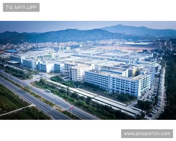 海鸥体育打造智能运动生态引领行业新风潮探索创新科技与体育结合新未来